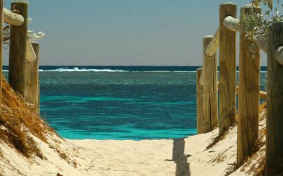 The SmartCells Solution to the Summer Slowdown