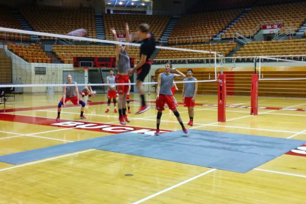 Trusted by Champions