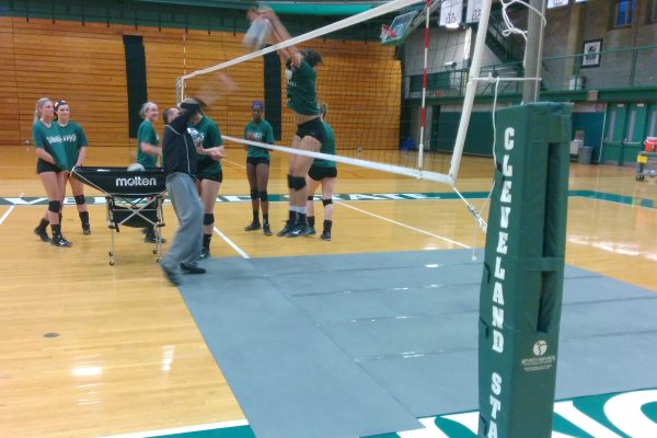 Versatility For Your Program